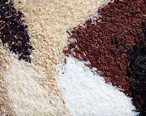 Rice Varieties